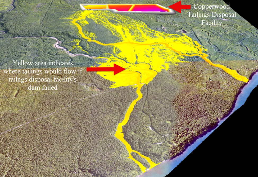 Acidity and toxicity of tailings from the Copperwood Mine
